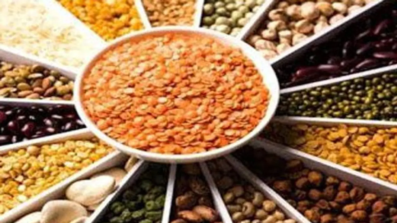 Veg Protein Rich Food: এই ৪ ডালে রয়েছে আমিষের তুলনায় বেশি প্রোটিন Veg Protein Rich Food: এই ৪ ডালে রয়েছে আমিষের তুলনায় বেশি প্রোটিন