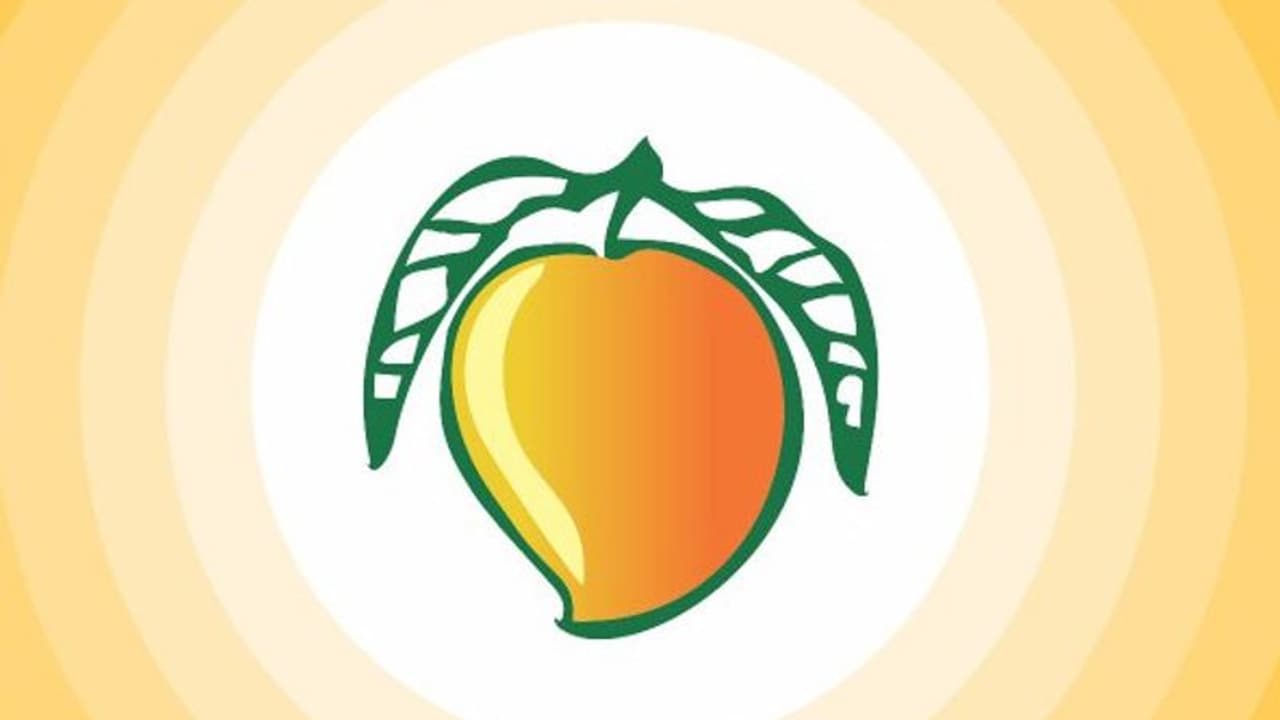 அதிமுக பாஜக கூட்டணியில் இருந்து வெளியேறிய பாமக... 12 தொகுதிகளில் தனித்து போட்டி..! அதிமுக பாஜக கூட்டணியில் இருந்து வெளியேறிய பாமக... 12 தொகுதிகளில் தனித்து போட்டி..!