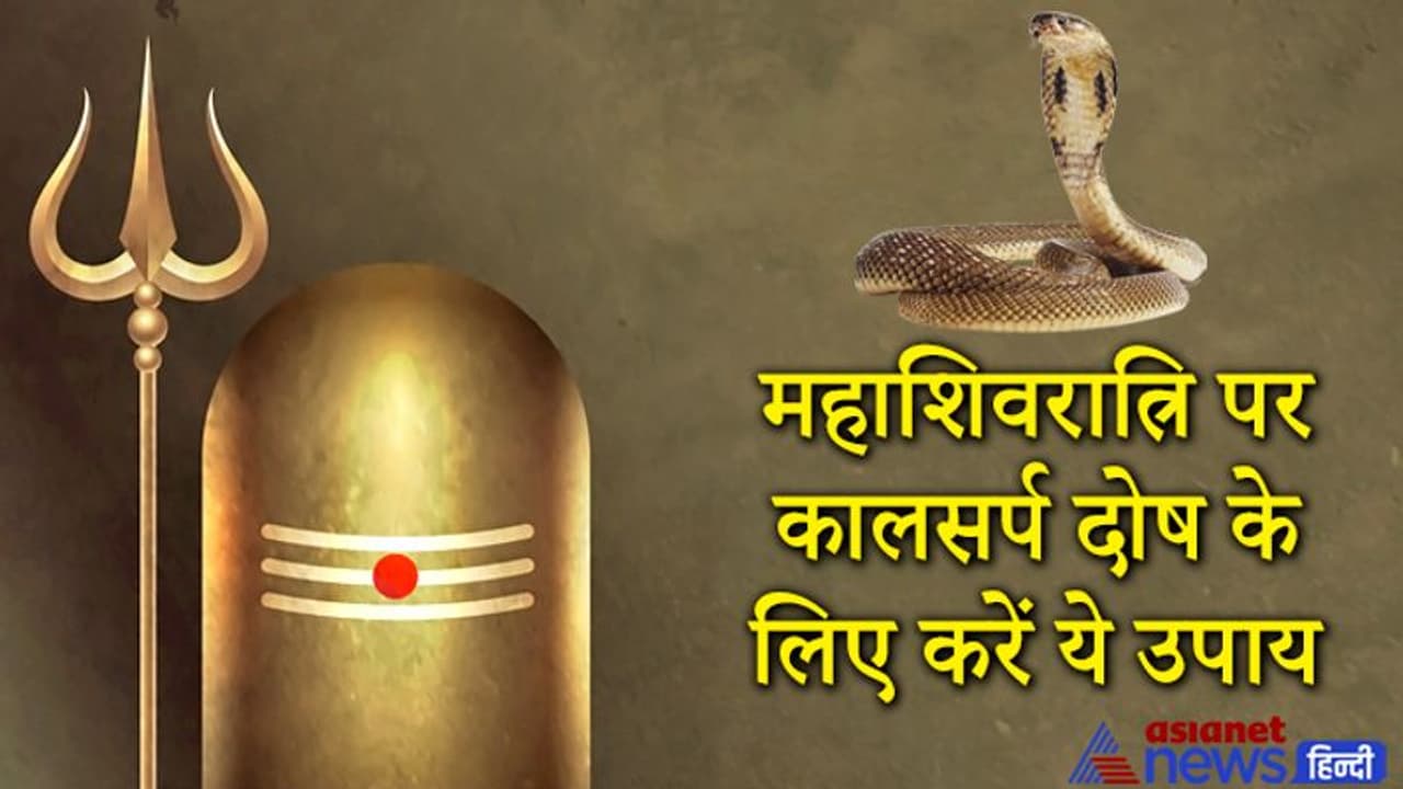 कालसर्प दोष से परेशान हैं तो 11 मार्च को Maha Shivratri पर करें ये आसान उपाय कालसर्प दोष से परेशान हैं तो 11 मार्च को Maha Shivratri पर करें ये आसान उपाय