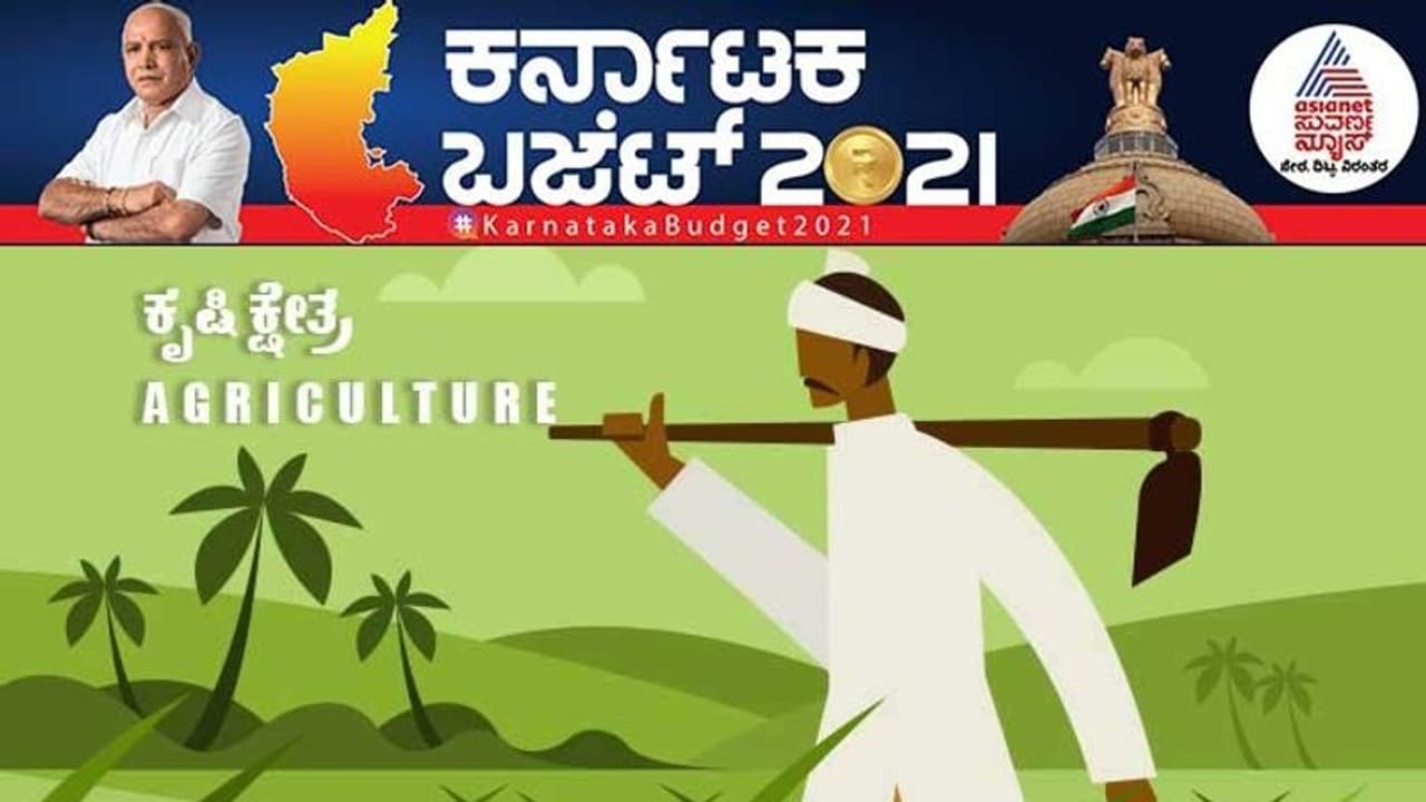 ಕರ್ನಾಟಕ ಬಜೆಟ್; ಕೃಷಿ ಕ್ಷೇತ್ರಕ್ಕೆ ಸಿಕ್ಕಿದ್ದೇನು? ಸಿದ್ದು ಬೇಡಿಕೆಗೆ ಮನ್ನಣೆ ಕರ್ನಾಟಕ ಬಜೆಟ್; ಕೃಷಿ ಕ್ಷೇತ್ರಕ್ಕೆ ಸಿಕ್ಕಿದ್ದೇನು? ಸಿದ್ದು ಬೇಡಿಕೆಗೆ ಮನ್ನಣೆ