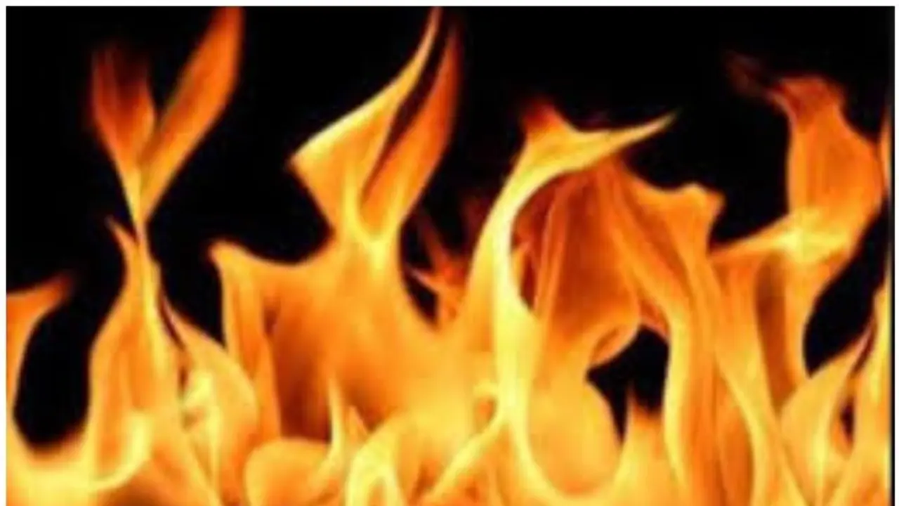 அடுத்தடுத்து பலியான உயிர்கள்... 28 பட்டாசு ஆலைகளுக்கு அதிகாரிகள் வைத்த ஆப்பு...! அடுத்தடுத்து பலியான உயிர்கள்... 28 பட்டாசு ஆலைகளுக்கு அதிகாரிகள் வைத்த ஆப்பு...!