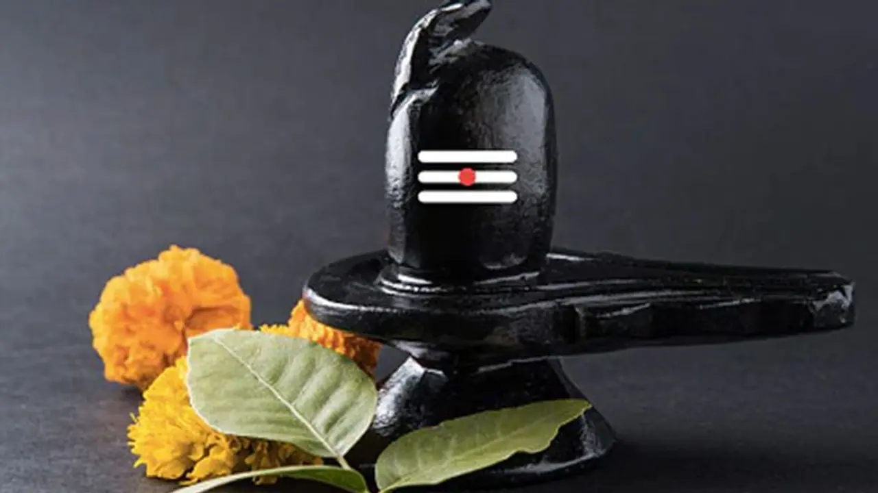 महाशिवरात्री पर सद्गुरू के साथ करें 'मिडनाइट मेडिटेशन', आदियोगी दिव्य दर्शन सहित इन कार्यक्रमों का भी लें आनंद महाशिवरात्री पर सद्गुरू के साथ करें 'मिडनाइट मेडिटेशन', आदियोगी दिव्य दर्शन सहित इन कार्यक्रमों का भी लें आनंद