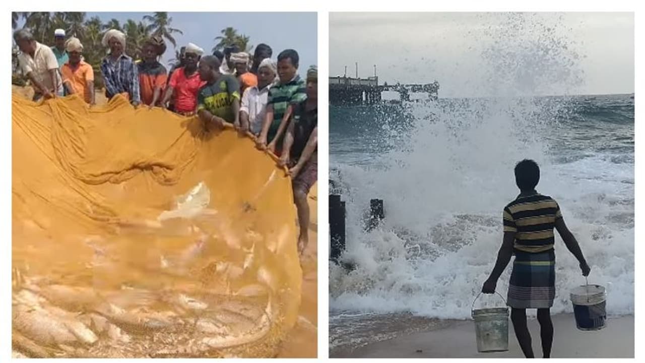 ഇന്നലെ അടിഞ്ഞത് ചൂര, ഇന്ന് ശക്തമായ കടലേറ്റം; ശംഖുമുഖം കടപ്പുറത്ത് അപ്രതീക്ഷിത കാഴ്ചകള് ! ഇന്നലെ അടിഞ്ഞത് ചൂര, ഇന്ന് ശക്തമായ കടലേറ്റം; ശംഖുമുഖം കടപ്പുറത്ത് അപ്രതീക്ഷിത കാഴ്ചകള് !