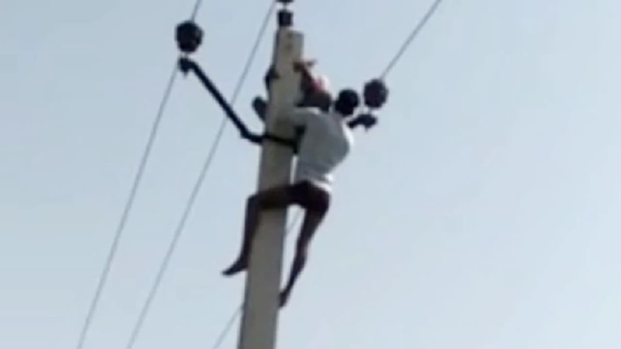 జోగిపేటలో దారుణం... నిశ్చితార్థం రోజే కరెంట్ స్తంబానికి యువకుడు ఉరి... హత్యా? ఆత్మహత్యా? జోగిపేటలో దారుణం... నిశ్చితార్థం రోజే కరెంట్ స్తంబానికి యువకుడు ఉరి... హత్యా? ఆత్మహత్యా?