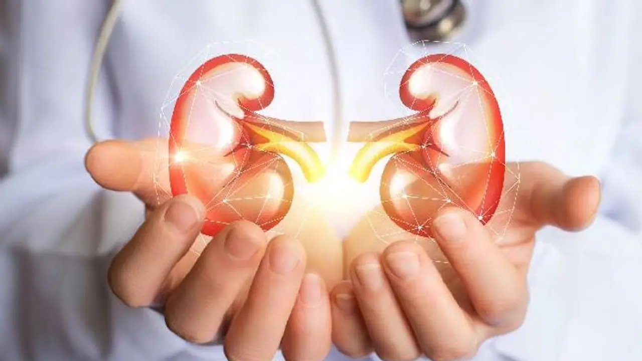 വൃക്കകളെ സംരക്ഷിക്കാന് ഭക്ഷണത്തില് ശ്രദ്ധിക്കേണ്ട കാര്യങ്ങള്... വൃക്കകളെ സംരക്ഷിക്കാന് ഭക്ഷണത്തില് ശ്രദ്ധിക്കേണ്ട കാര്യങ്ങള്...