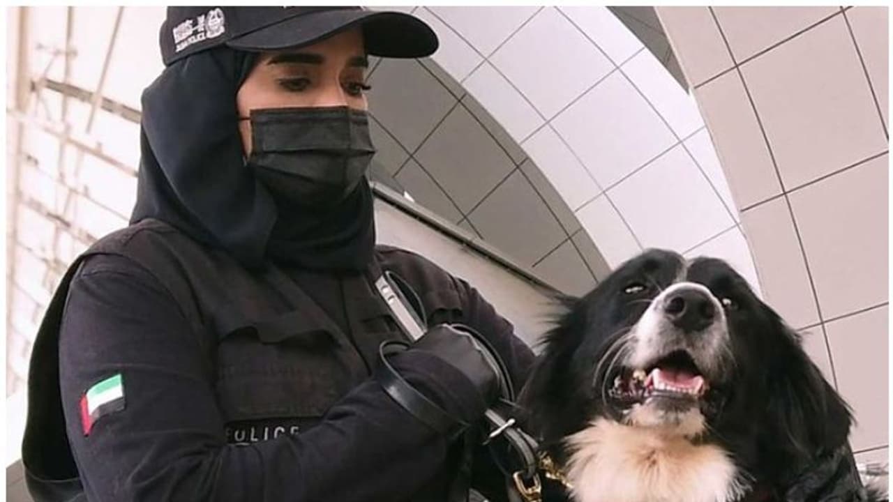 Anocovax: జంతువుల కోసం.. దేశంలో తొలిసారి యాంటీ కోవిడ్ వ్యాక్సిన్.. 