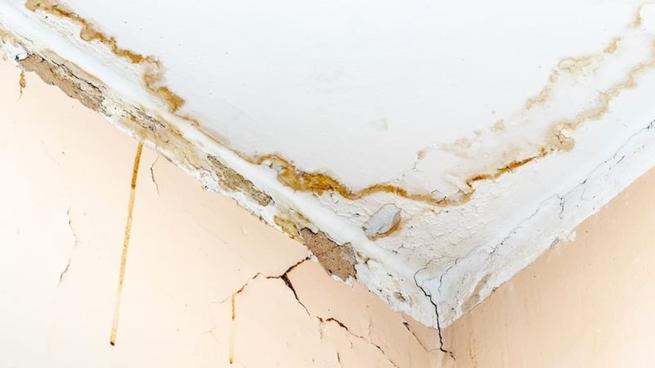 ಚಾವಣಿಯಲ್ಲಿ ಬಿರುಕು ಮತ್ತ ನೀರು ಸೋರಿಕೆಗೆ ಏನು ಮಾಡಬೇಕು? ಚಾವಣಿಯಲ್ಲಿ ಬಿರುಕು ಮತ್ತ ನೀರು ಸೋರಿಕೆಗೆ ಏನು ಮಾಡಬೇಕು?