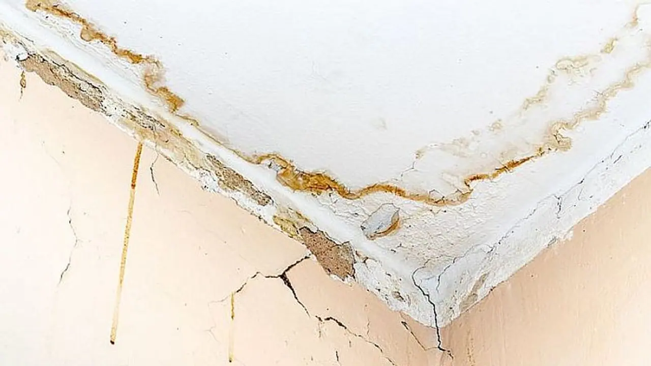 Cracks and seepage in the ceiling? Here's what you should do Cracks and seepage in the ceiling? Here's what you should do