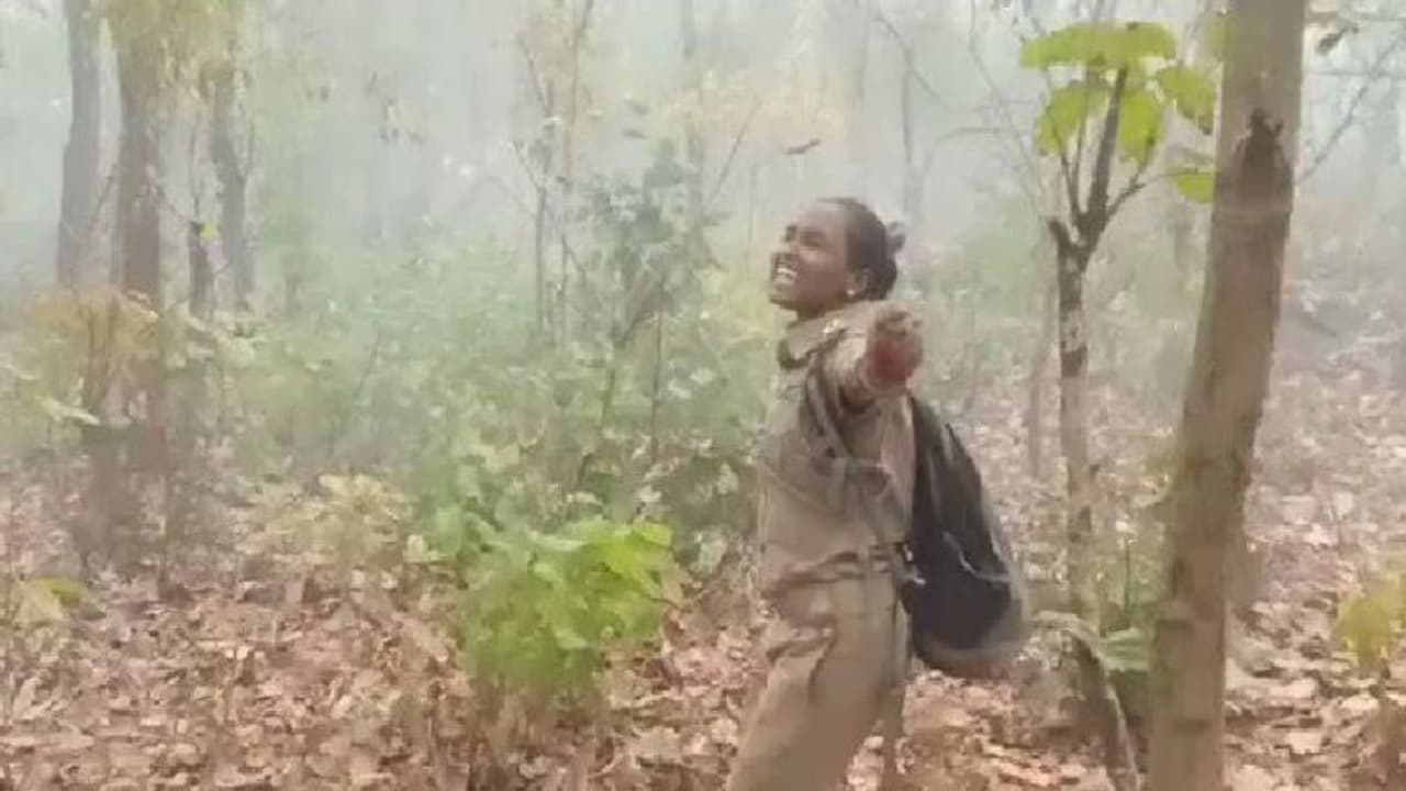 കാട്ടുതീ അണയ്ക്കുന്നതിനിടെ വേനല്‍മഴ; വനംവകുപ്പ് ഉദ്യോഗസ്ഥയുടെ വീഡിയോ വൈറലാകുന്നു