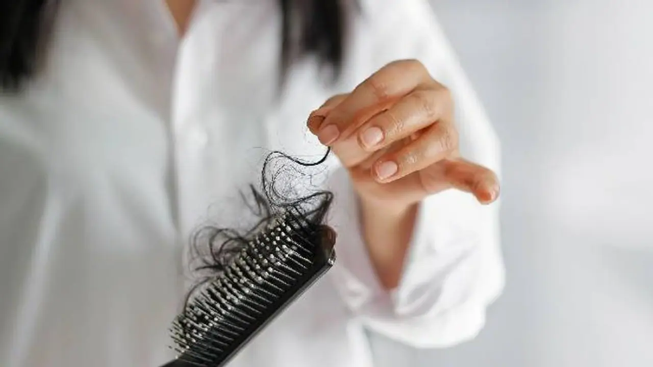 തലമുടി കൊഴിച്ചിൽ എന്ന പരാതി ഇനി വേണ്ട; പരീക്ഷിക്കാം ഈ ഹെയര് പാക്കുകള്... തലമുടി കൊഴിച്ചിൽ എന്ന പരാതി ഇനി വേണ്ട; പരീക്ഷിക്കാം ഈ ഹെയര് പാക്കുകള്...