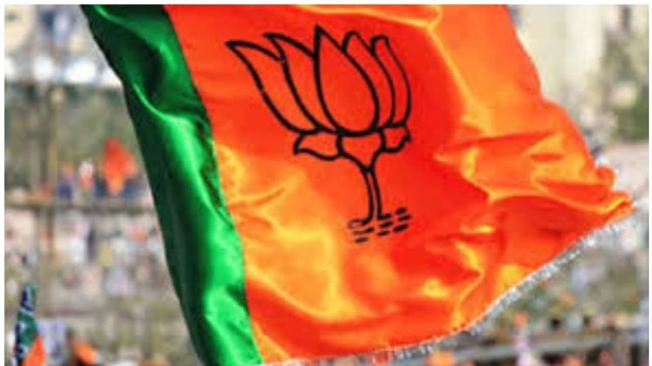 'യാക്കോബായ സഭ ചര്ച്ചകളില് നിന്ന് പിന്മാറിയതെന്തിനെന്ന് അറിയില്ല'; ഇനിയും പ്രതീക്ഷയുണ്ടെന്ന് ബിജെപി 'യാക്കോബായ സഭ ചര്ച്ചകളില് നിന്ന് പിന്മാറിയതെന്തിനെന്ന് അറിയില്ല'; ഇനിയും പ്രതീക്ഷയുണ്ടെന്ന് ബിജെപി