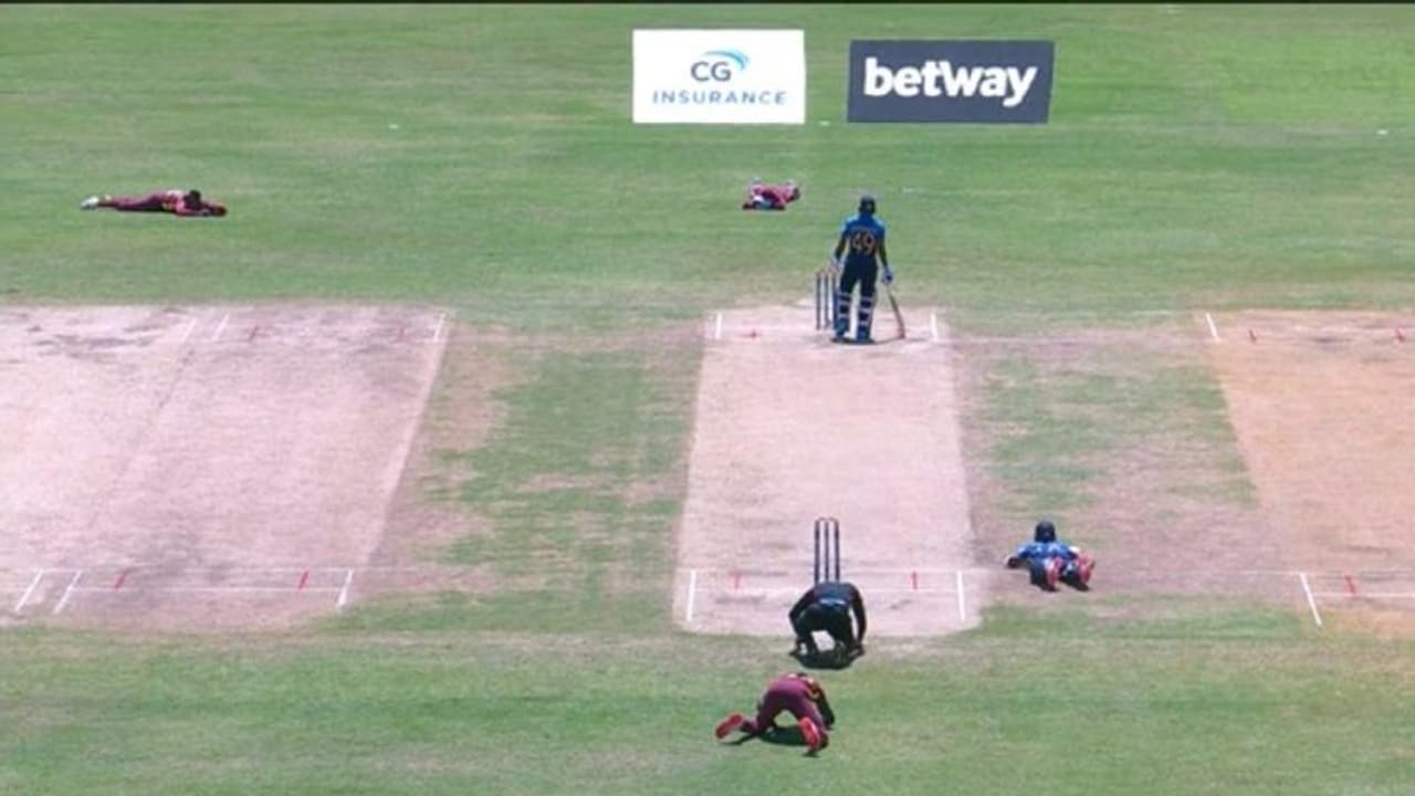 തേനീച്ചക്കൂട്ടം കളി മുടക്കി; വിന്ഡീസ് ശ്രീലങ്ക മത്സരത്തിനിടെ രസകരമായ സംഭവം വീഡിയോ കാണാം തേനീച്ചക്കൂട്ടം കളി മുടക്കി; വിന്ഡീസ് ശ്രീലങ്ക മത്സരത്തിനിടെ രസകരമായ സംഭവം വീഡിയോ കാണാം