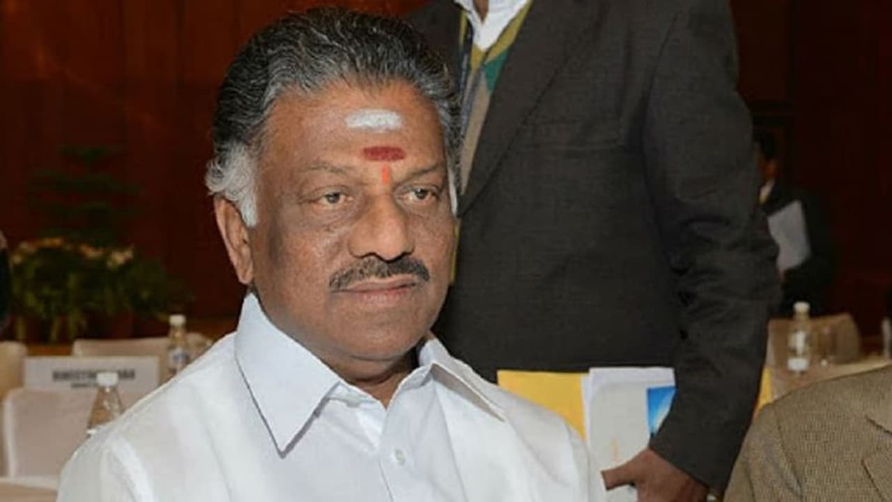 எனது வெற்றிவாய்ப்பு பிரகாசமாக உள்ளது.. தங்க தமிழ்ச்செல்வனுக்கு ஜர்க் காட்டும் ஓபிஎஸ்.