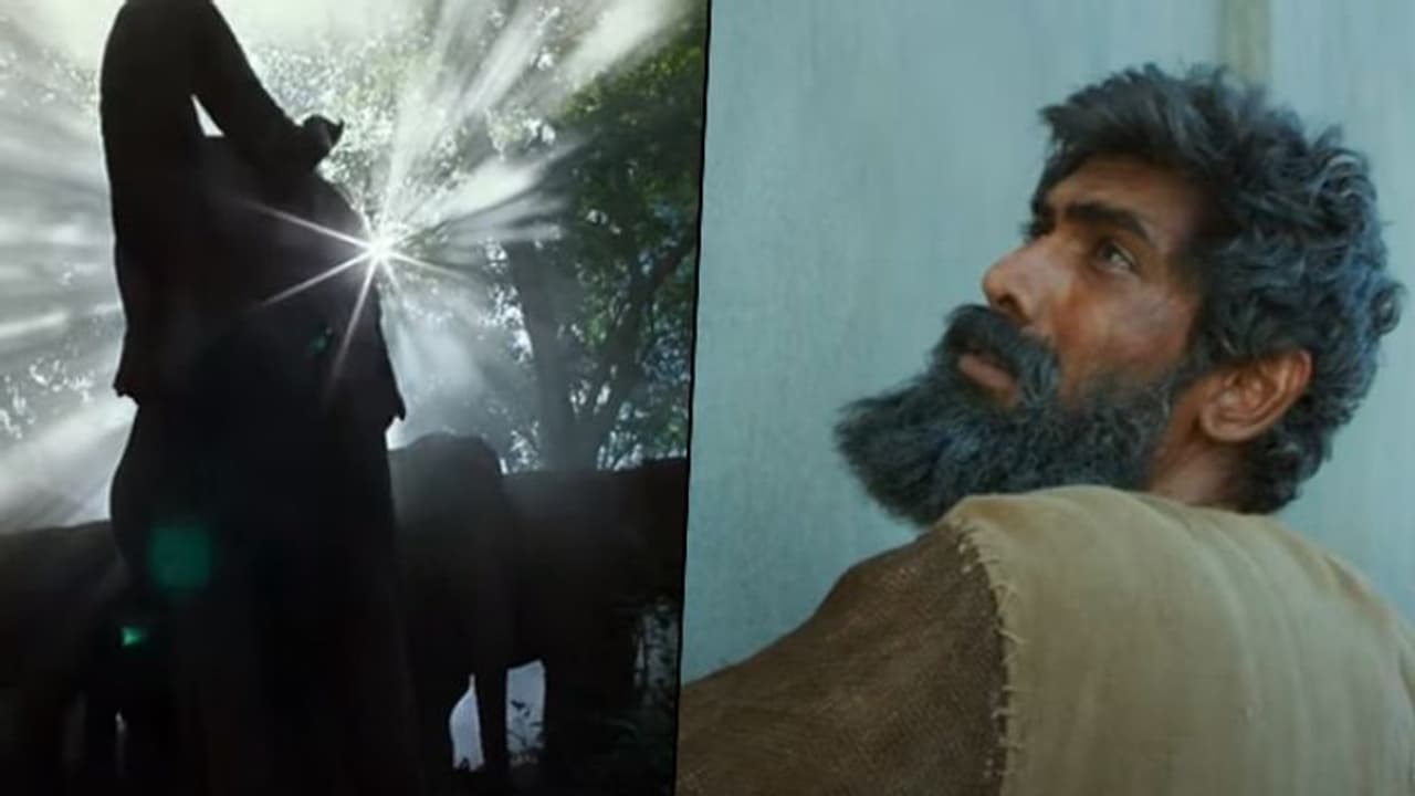 Soulful song, 'Ae Hawa', from Haathi Mere Saathi starring Rana Daggubati is out Soulful song, 'Ae Hawa', from Haathi Mere Saathi starring Rana Daggubati is out