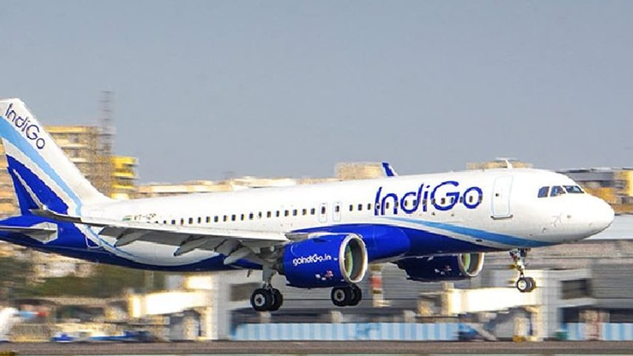 Indigo फ्लाइट में काम कर सो गया लोडर, आंख खुली तो देखा Mumbai नहीं Abu Dhabi में है