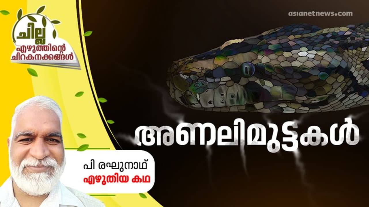 അണലിമുട്ടകള്‍, പി രഘുനാഥ് എഴുതിയ കഥ