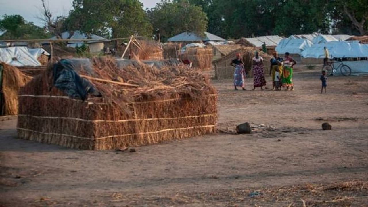 11 വയസ്സിന് താഴെയുള്ള കുട്ടികളെ തീവ്രവാദികൾ ശിരഛേദം ചെയ്യുന്നുവെന്ന് റിപ്പോർട്ട് 11 വയസ്സിന് താഴെയുള്ള കുട്ടികളെ തീവ്രവാദികൾ ശിരഛേദം ചെയ്യുന്നുവെന്ന് റിപ്പോർട്ട്