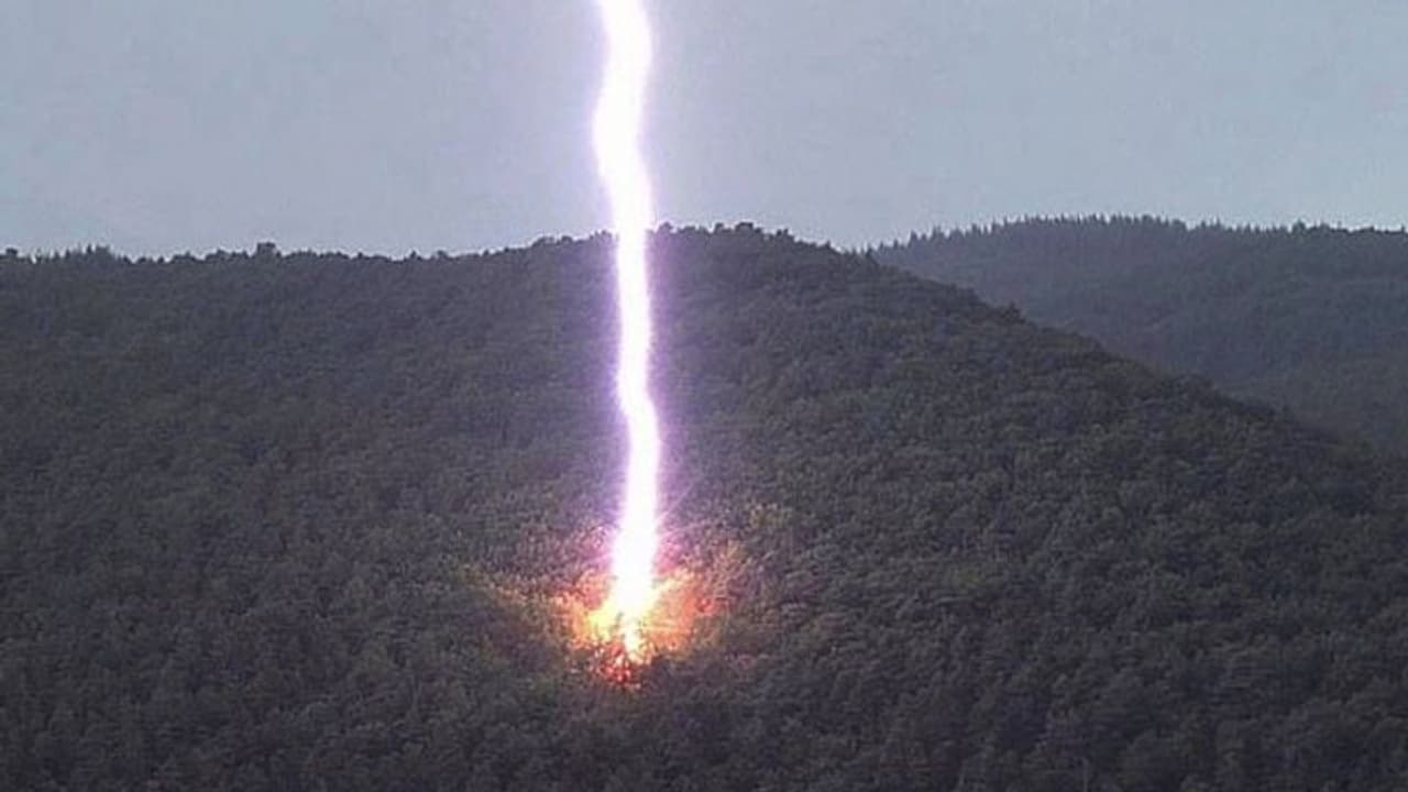 कैमरे में कैद हुआ अद्भुत नजारा, आसमान से गिरी बिजली और पलक झपकते ही लाखों टुकड़ों में बंट गया पेड़ कैमरे में कैद हुआ अद्भुत नजारा, आसमान से गिरी बिजली और पलक झपकते ही लाखों टुकड़ों में बंट गया पेड़