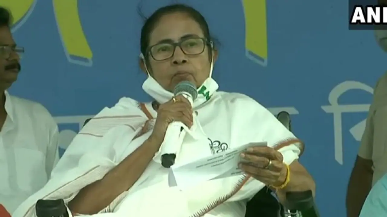 ನಾನು ದೊಡ್ಡ ಕತ್ತೆ: ಮಮತಾ ಸ್ವಯಂ ಟೀಕೆ