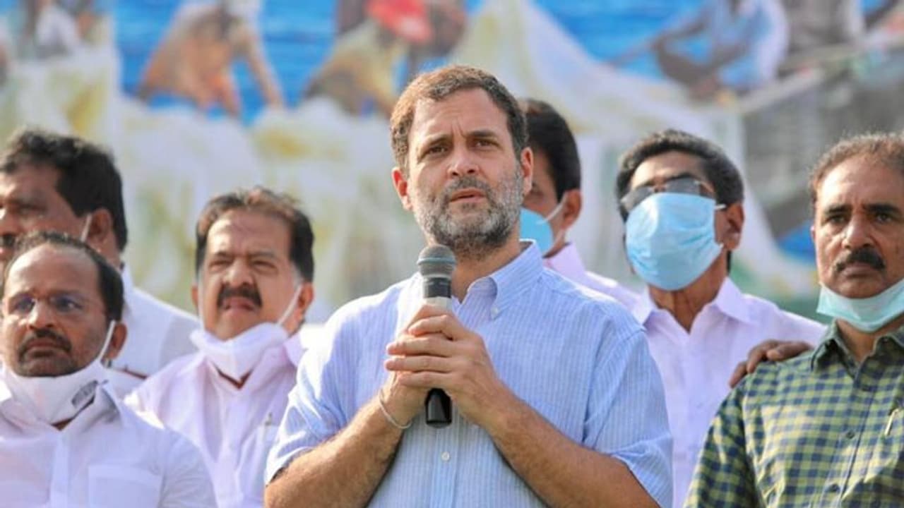 രാഹുൽ ഗാന്ധി ഞായറാഴ്ച നേമത്തും തലസ്ഥാനത്തും; നാളെ കോഴിക്കോടും കണ്ണൂരും പ്രചാരണം