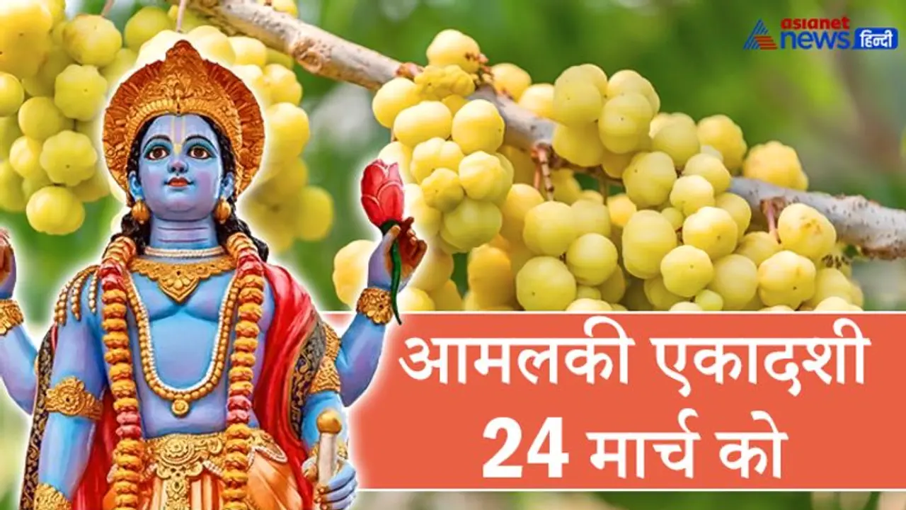 24 मार्च को इस विधि से करें आमलकी एकादशी का व्रत और पूजा, शुभ फल पाने के लिए ये उपाय भी करें 24 मार्च को इस विधि से करें आमलकी एकादशी का व्रत और पूजा, शुभ फल पाने के लिए ये उपाय भी करें