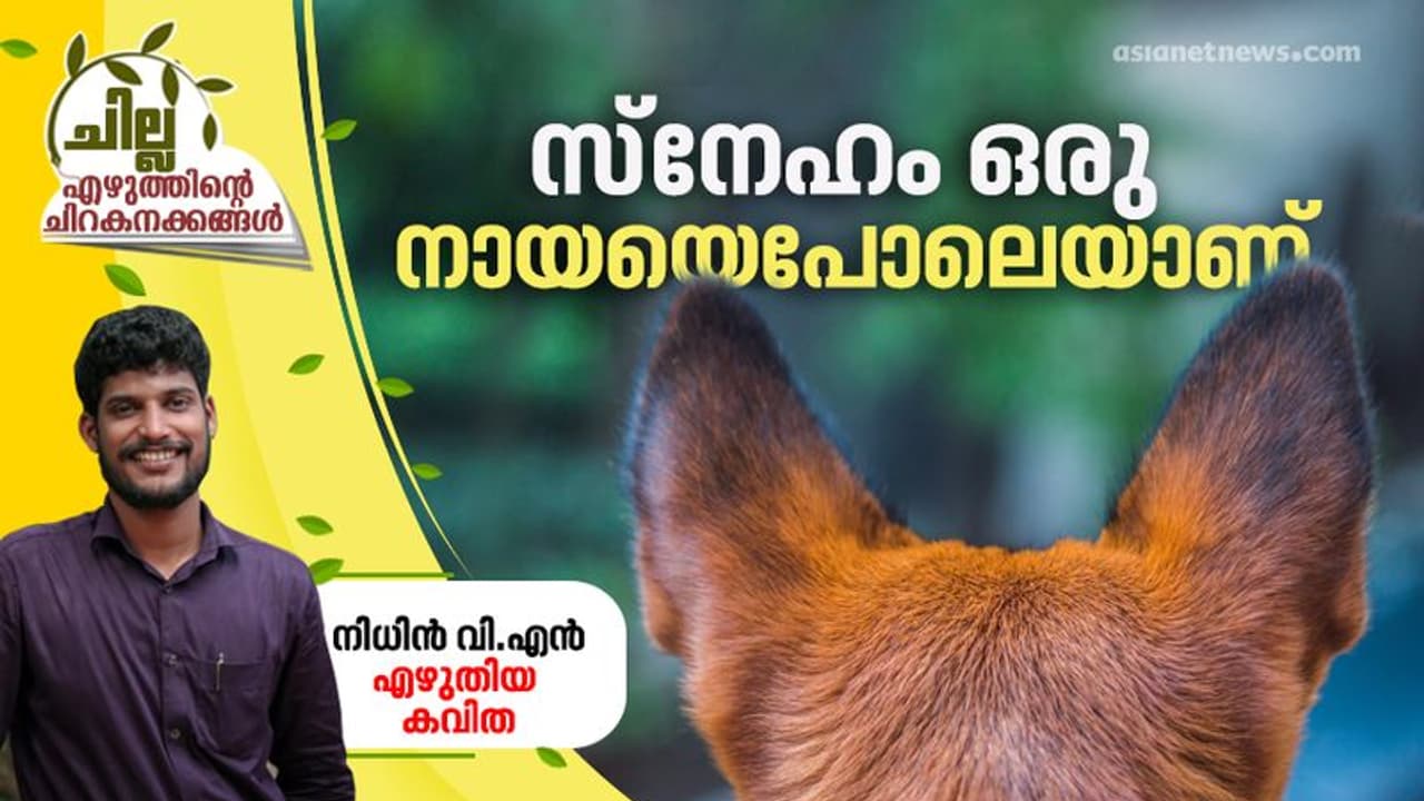 സ്നേഹം ഒരു നായയെപോലെയാണ് , നിധിന്‍ വി.എന്‍ എഴുതിയ കവിത