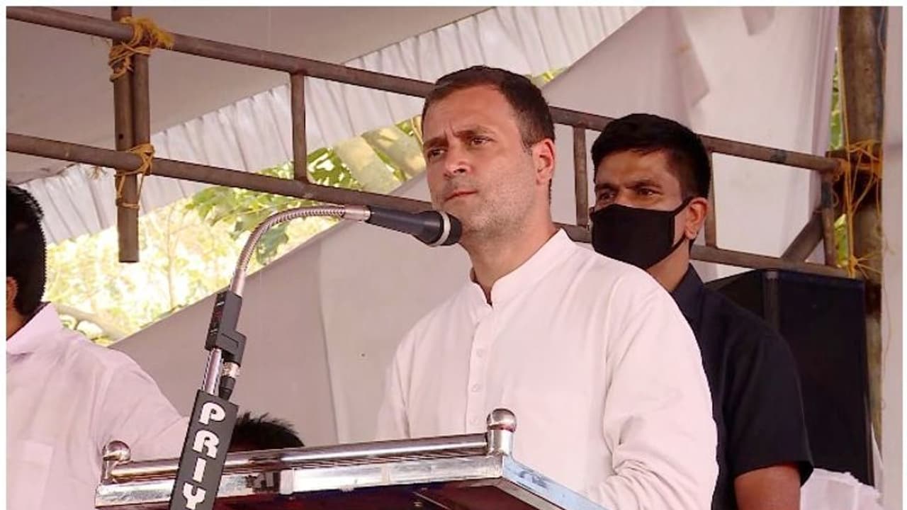 'സിപിഎം ജോലികൊടുക്കുന്നത് അവർക്ക് വേണ്ടപ്പെട്ടവർക്ക് മാത്രം', രൂക്ഷ വിമർശനമുന്നയിച്ച് രാഹുൽ ഗാന്ധി 'സിപിഎം ജോലികൊടുക്കുന്നത് അവർക്ക് വേണ്ടപ്പെട്ടവർക്ക് മാത്രം', രൂക്ഷ വിമർശനമുന്നയിച്ച് രാഹുൽ ഗാന്ധി