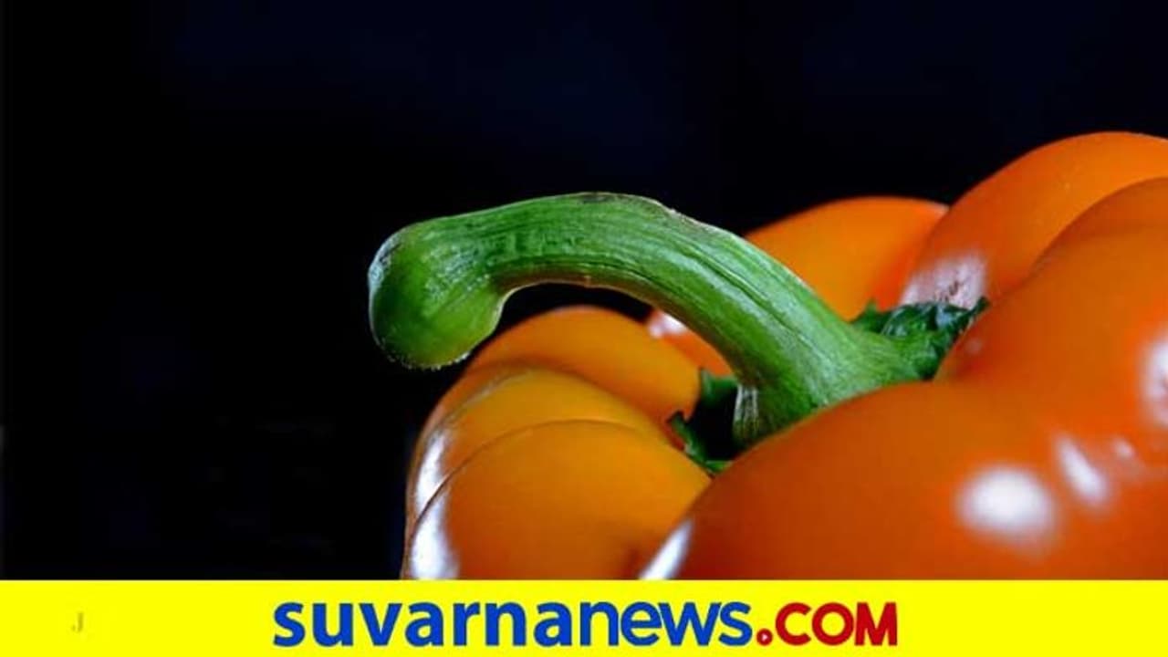 ಹೀಗಿದೆ ನೋಡಿ ಜಗತ್ತಿನ ಏಕೈಕ ಶಿಶ್ನ ಮ್ಯೂಸಿಯಂ!