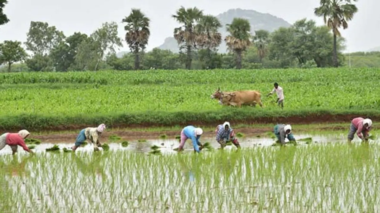 10 ವರ್ಷ ಬಡ್ಡಿ ರಿಯಾಯ್ತಿ ಪಡೆದ ರೈತರಿಗೆ ಸಬ್ಸಿಡಿ ಕೃಷಿ ಸಾಲ ಇಲ್ಲ