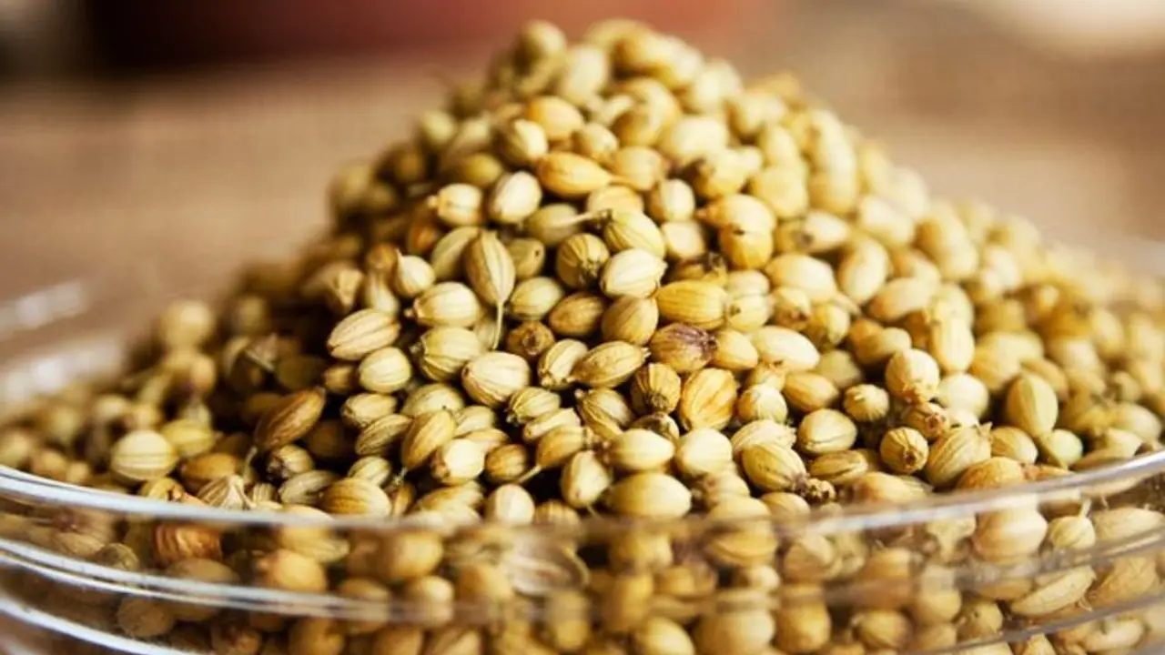 <p>Coriander, popularly known as dhania in India, is extensively used across various regional cuisines to flavour curries, stir fries, snacks, breakfast items – you name it! It is popular in Mexico and the south western part of USA too, where it is utilised in salsas and mixed greens to burritos and meat dishes.</p>
