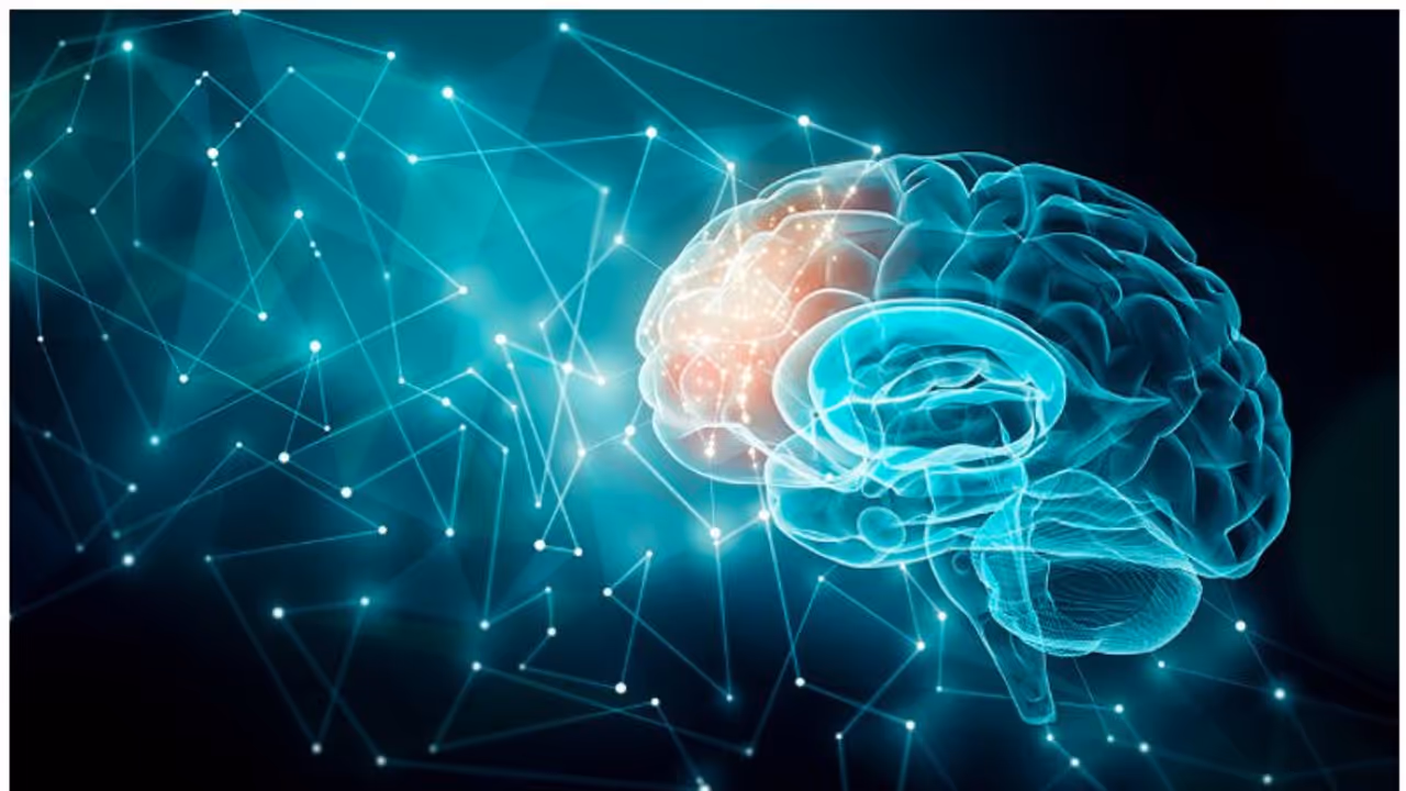 কোভিডে কম যাচ্ছে মস্তিস্কের গ্রে ম্যাটার, কীভাবে ফিরে পাবেন মগজাস্ত্র কী বলছেন ডাক্তাররা কোভিডে কম যাচ্ছে মস্তিস্কের গ্রে ম্যাটার, কীভাবে ফিরে পাবেন মগজাস্ত্র কী বলছেন ডাক্তাররা