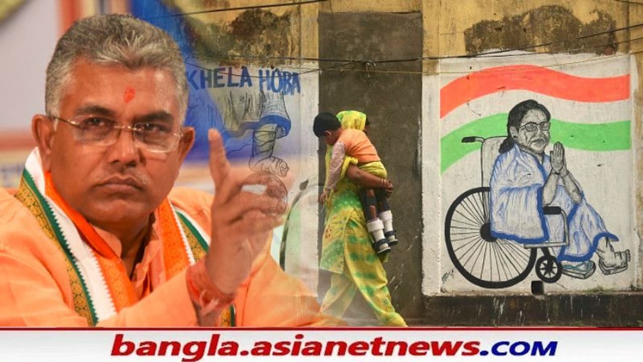 'বারমুডা' নিয়ে নেই আক্ষেপ, মমতাকেই পাল্টা আক্রমণ বিতর্ক নিয়ে কী বললেন দিলীপ