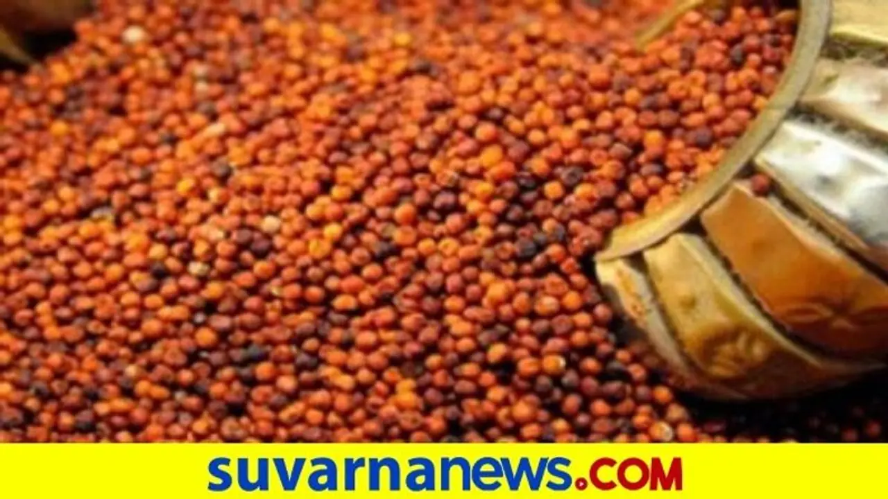 ಚಿಕ್ಕಬಳ್ಳಾಪುರ : ರೈತರಿಂದ ಲಕ್ಷಾಂತರ ಕ್ವಿಂಟಲ್ ರಾಗಿ ಖರೀದಿ ಚಿಕ್ಕಬಳ್ಳಾಪುರ : ರೈತರಿಂದ ಲಕ್ಷಾಂತರ ಕ್ವಿಂಟಲ್ ರಾಗಿ ಖರೀದಿ