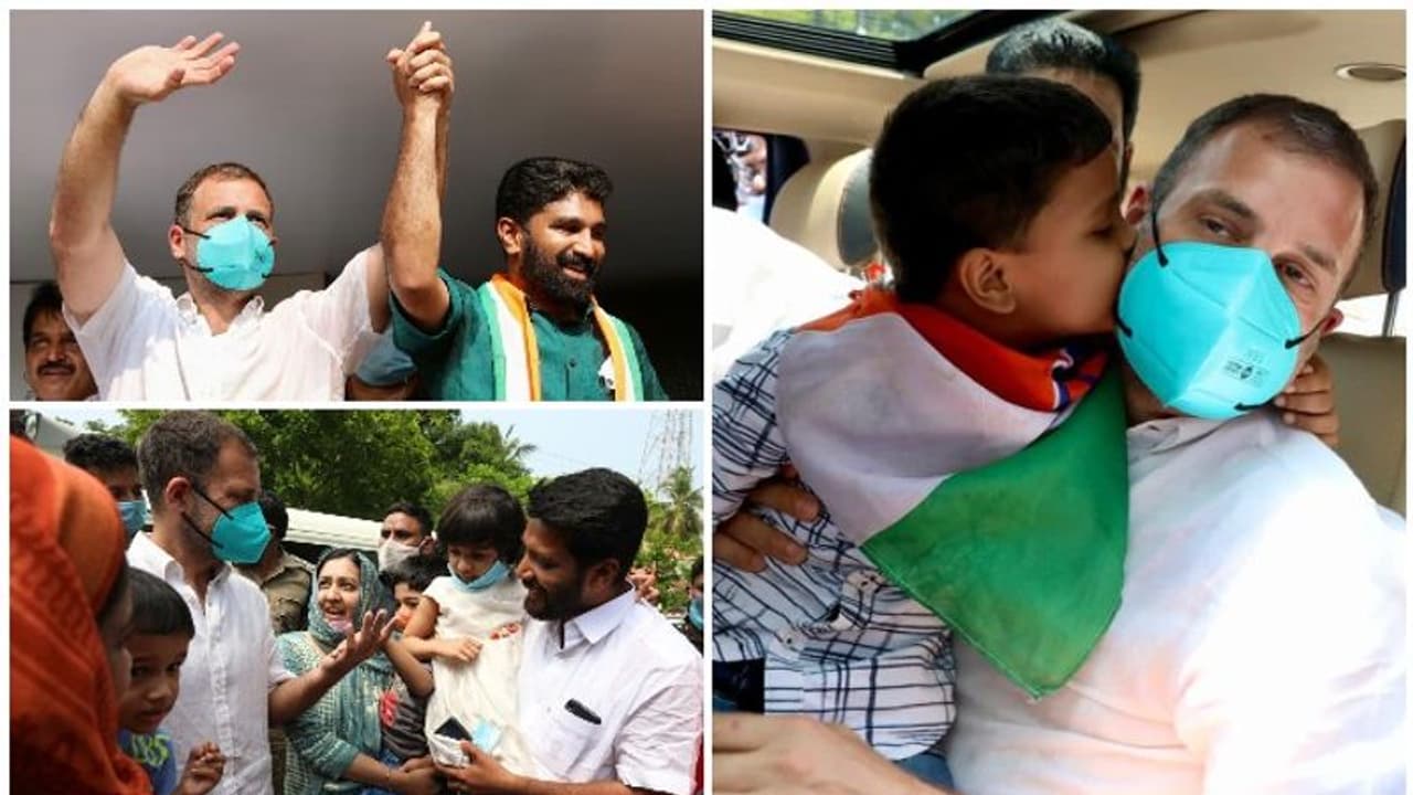 'യുഡിഎഫ് വന്നാൽ ഉദ്യോഗാർത്ഥികൾക്ക് മുട്ടിലിഴയണ്ട', പാലക്കാട്ട് ആവേശമായി രാഹുൽ 'യുഡിഎഫ് വന്നാൽ ഉദ്യോഗാർത്ഥികൾക്ക് മുട്ടിലിഴയണ്ട', പാലക്കാട്ട് ആവേശമായി രാഹുൽ