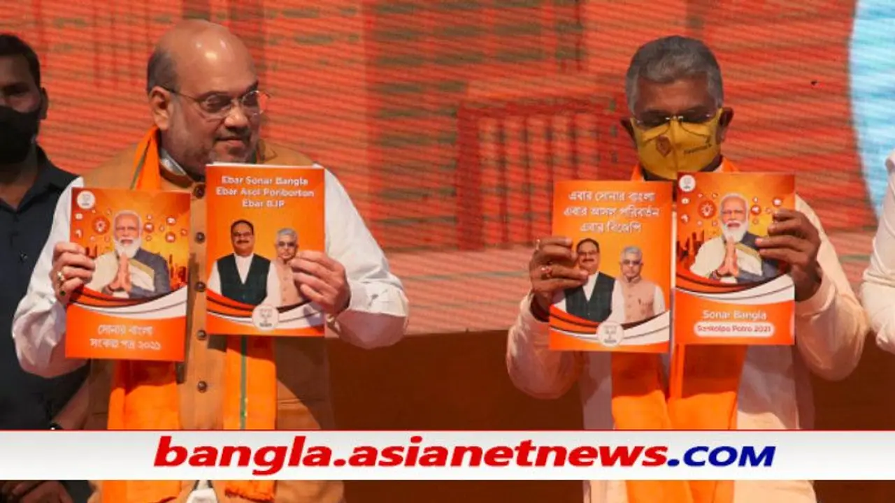 তৃণমূলের ‘খেলা হবে’র পাল্টা বিজেপির স্লোগান ‘বিকাশ হবে’, কতটা প্রভাব ফেলবে আসন্ন নির্বাচনে