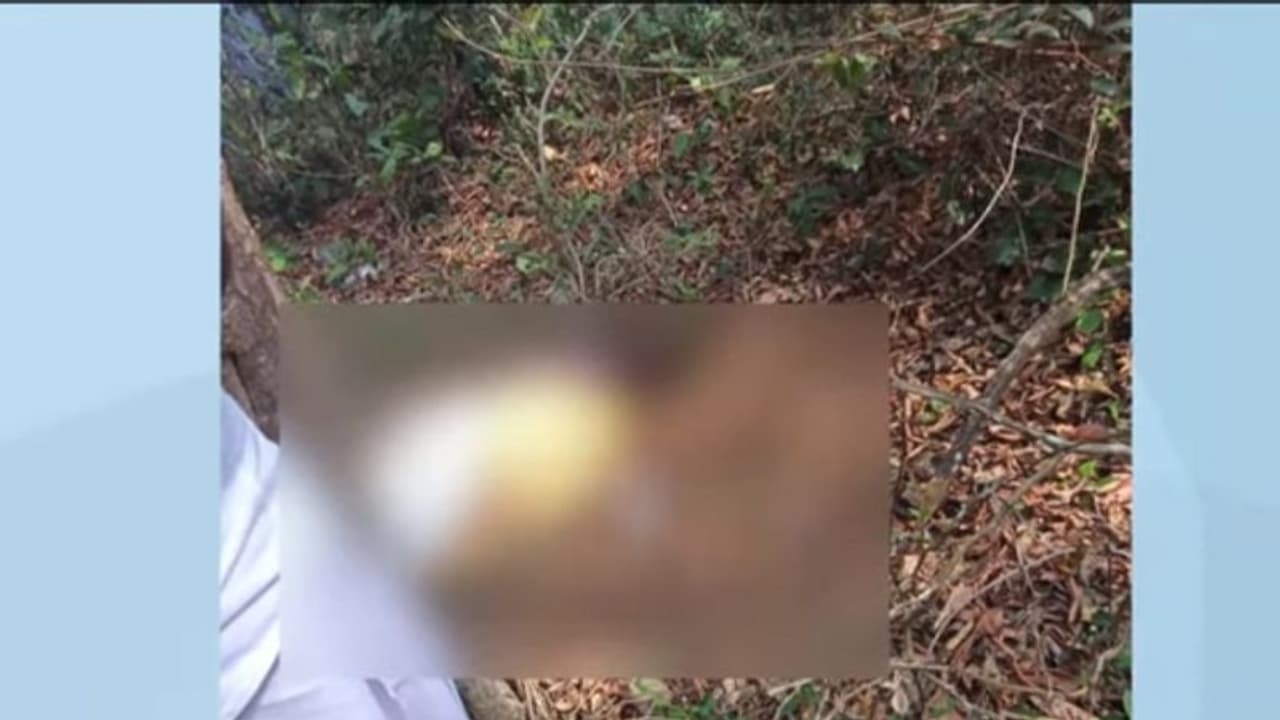 കടുമേനിയിലെ നാൽപ്പത്തേഴുകാരന്റെ ദുരൂഹ മരണം കൊലപാതകം കടുമേനിയിലെ നാൽപ്പത്തേഴുകാരന്റെ ദുരൂഹ മരണം കൊലപാതകം