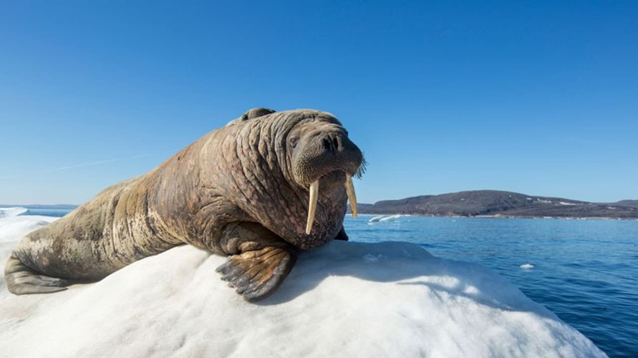 ചെറുതായി ഒന്ന് മയങ്ങി, കണ്ണുതിരുമ്മി നോക്കുമ്പോൾ എത്തിയത് ആയിരം മൈൽ അകലെ ചെറുതായി ഒന്ന് മയങ്ങി, കണ്ണുതിരുമ്മി നോക്കുമ്പോൾ എത്തിയത് ആയിരം മൈൽ അകലെ