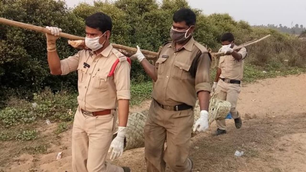 కుళ్లిన శవాన్ని భుజాలపై మోసిన పోలీసులు... ప్రశంసించిన డిజిపి సవాంగ్