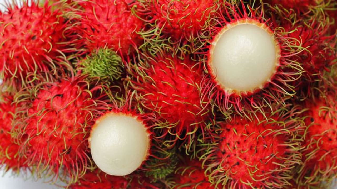 'മാർക്കറ്റില്‍ നിന്ന് വാങ്ങുന്ന റംബൂട്ടാനിൽ നിന്ന് നിപ പകരില്ല'; ഡോക്ടറുടെ കുറിപ്പ്