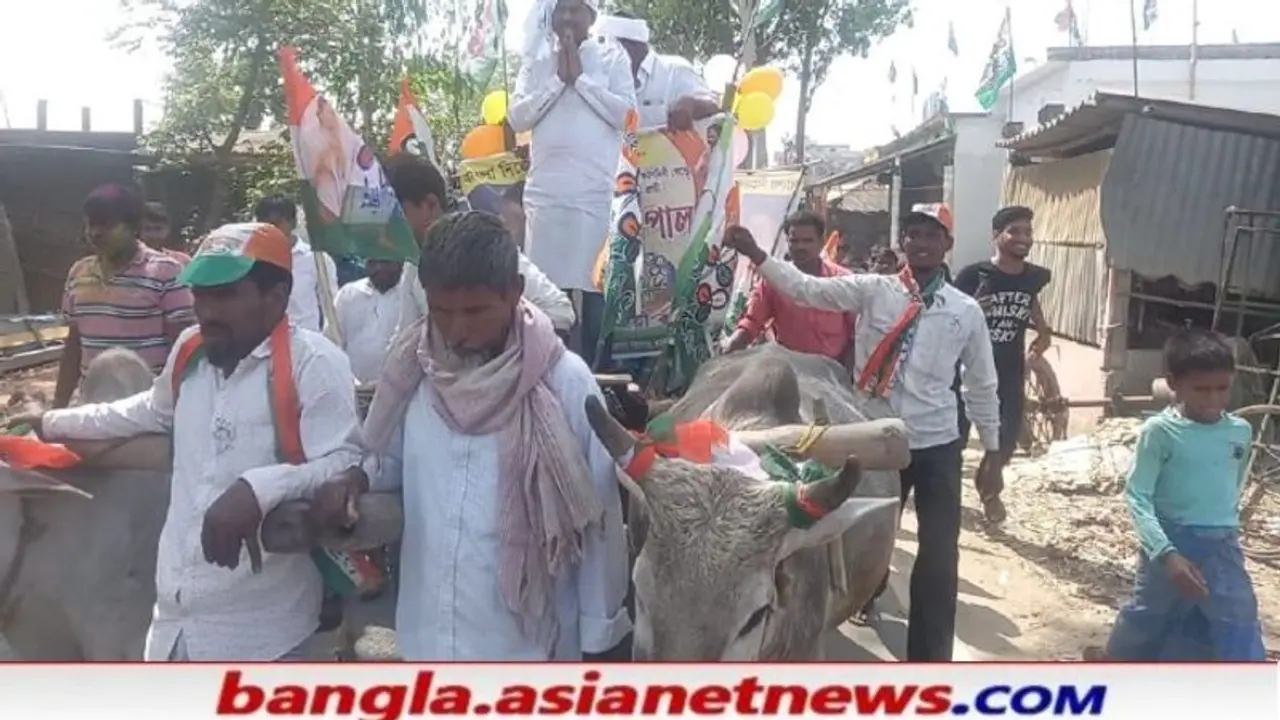 জ্বালানী মূল্যবৃদ্ধিতে অভিনব প্রতিবাদ, গরুর গাড়ি চেপে প্রচারে তৃনমূল প্রার্থী জ্বালানী মূল্যবৃদ্ধিতে অভিনব প্রতিবাদ, গরুর গাড়ি চেপে প্রচারে তৃনমূল প্রার্থী
