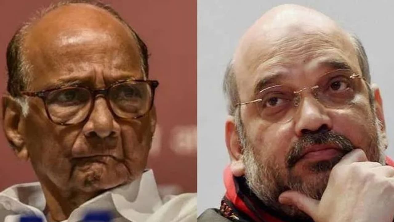 Everything can't be made public: Amit Shah on meeting NCP chief Sharad Pawar Everything can't be made public: Amit Shah on meeting NCP chief Sharad Pawar