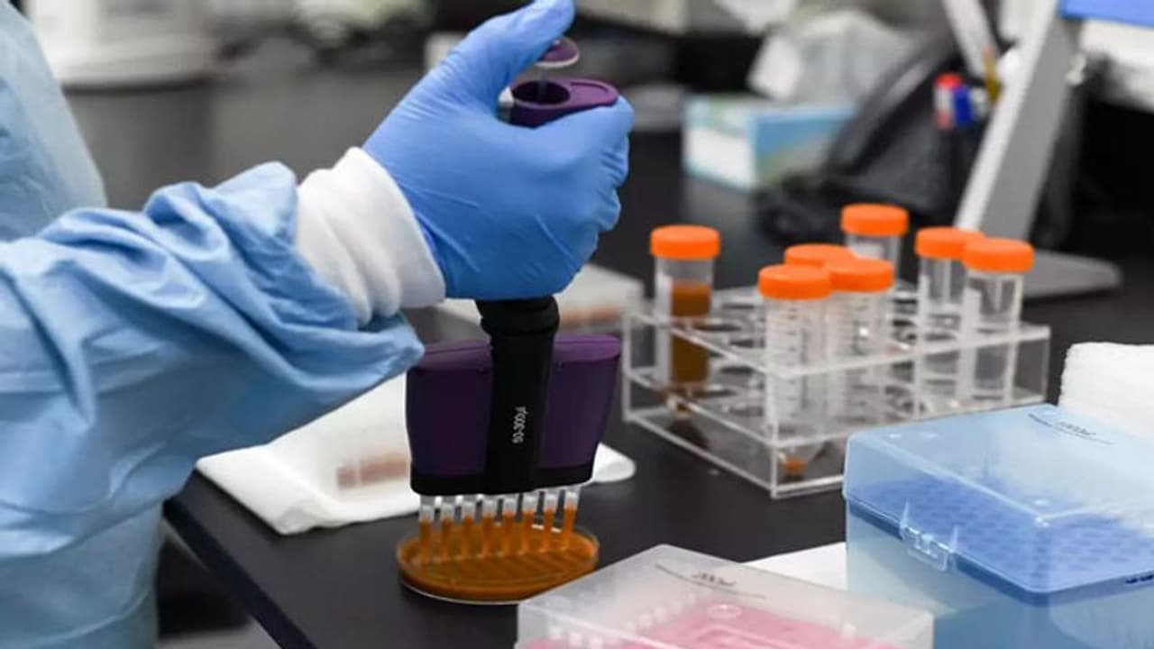 वैक्सीन से जूझ रहे भारत में कैसे 216 करोड़ वैक्सीन प्रोडक्शन दिसंबर तक हो सकेगा...जानिए हकीकत वैक्सीन से जूझ रहे भारत में कैसे 216 करोड़ वैक्सीन प्रोडक्शन दिसंबर तक हो सकेगा...जानिए हकीकत