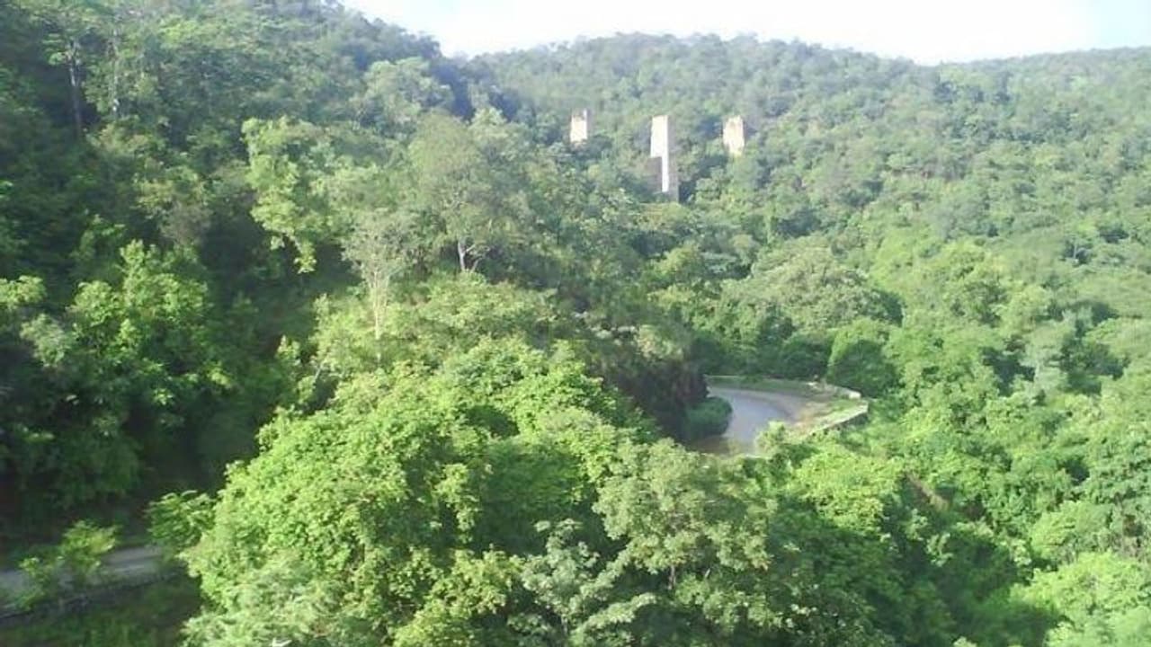 గిరిజనుల మర్మాంగాలపై దాడి చేయలేదు.. వైద్య ఖర్చులు మావే, అటవీ శాఖ ప్రకటన గిరిజనుల మర్మాంగాలపై దాడి చేయలేదు.. వైద్య ఖర్చులు మావే, అటవీ శాఖ ప్రకటన