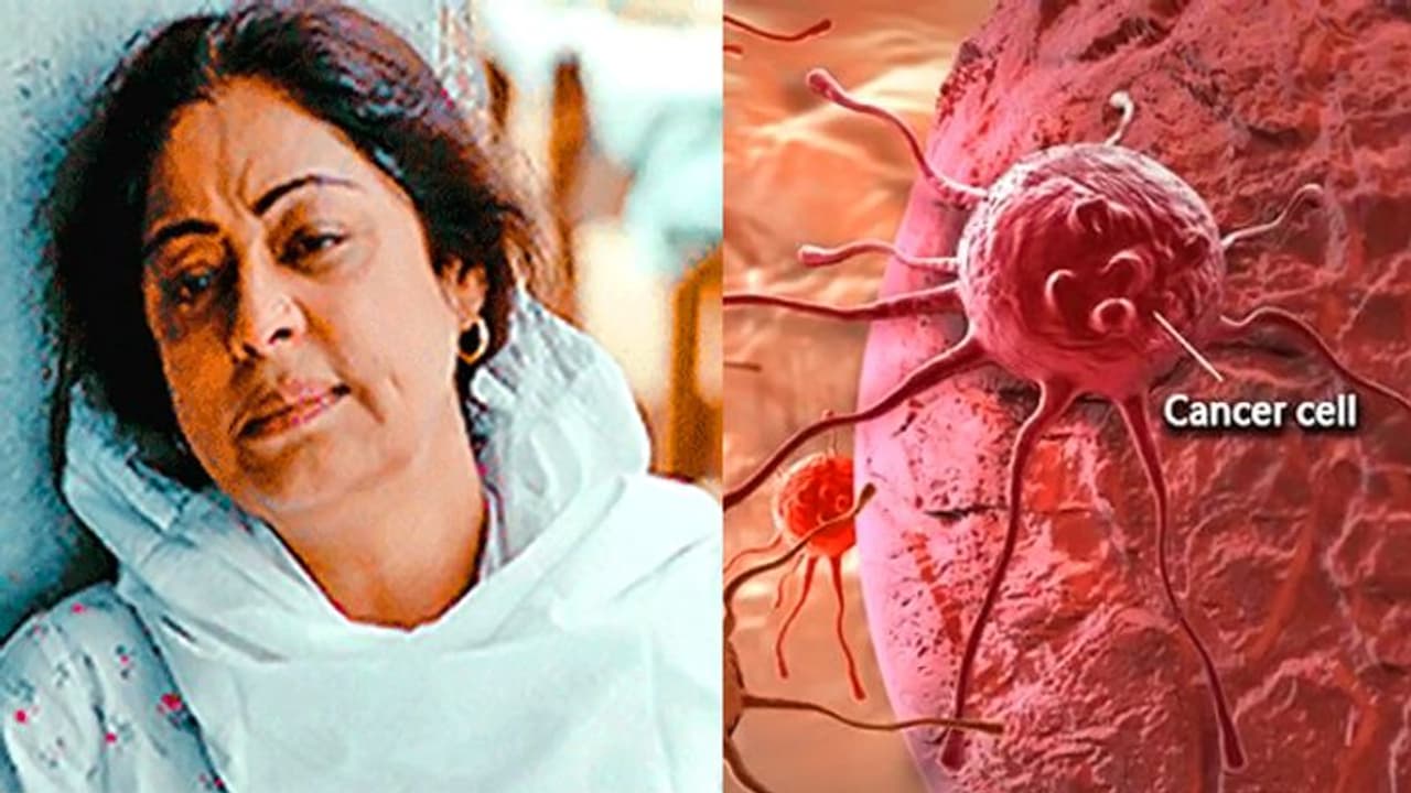 कितने तरह का होता है ब्लड कैंसर, क्या होते हैं इसके शुरुआती लक्षण, वो सबकुछ जो आपके लिए जरूरी है कितने तरह का होता है ब्लड कैंसर, क्या होते हैं इसके शुरुआती लक्षण, वो सबकुछ जो आपके लिए जरूरी है