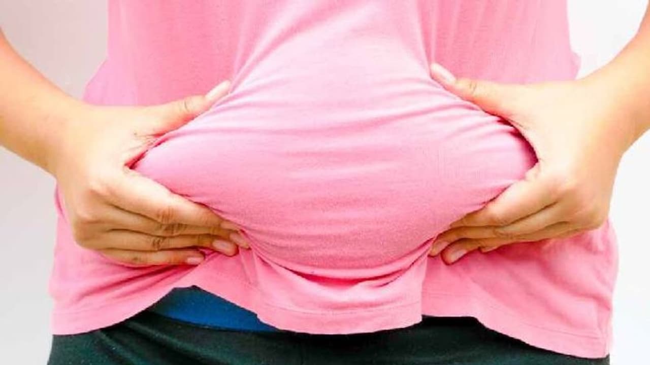 വണ്ണം കുറയ്ക്കണോ? വിശപ്പിനെ നിയന്ത്രിക്കുന്ന ഈ ഭക്ഷണങ്ങള്‍ ഡയറ്റില്‍ ഉള്‍പ്പെടുത്താം...