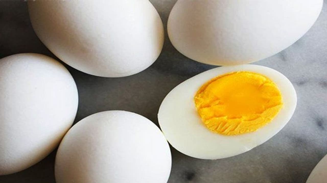 కోడిగుడ్డు కోసం పోతే.. ప్రాణాలు పోయాయి... ! కోడిగుడ్డు కోసం పోతే.. ప్రాణాలు పోయాయి... !