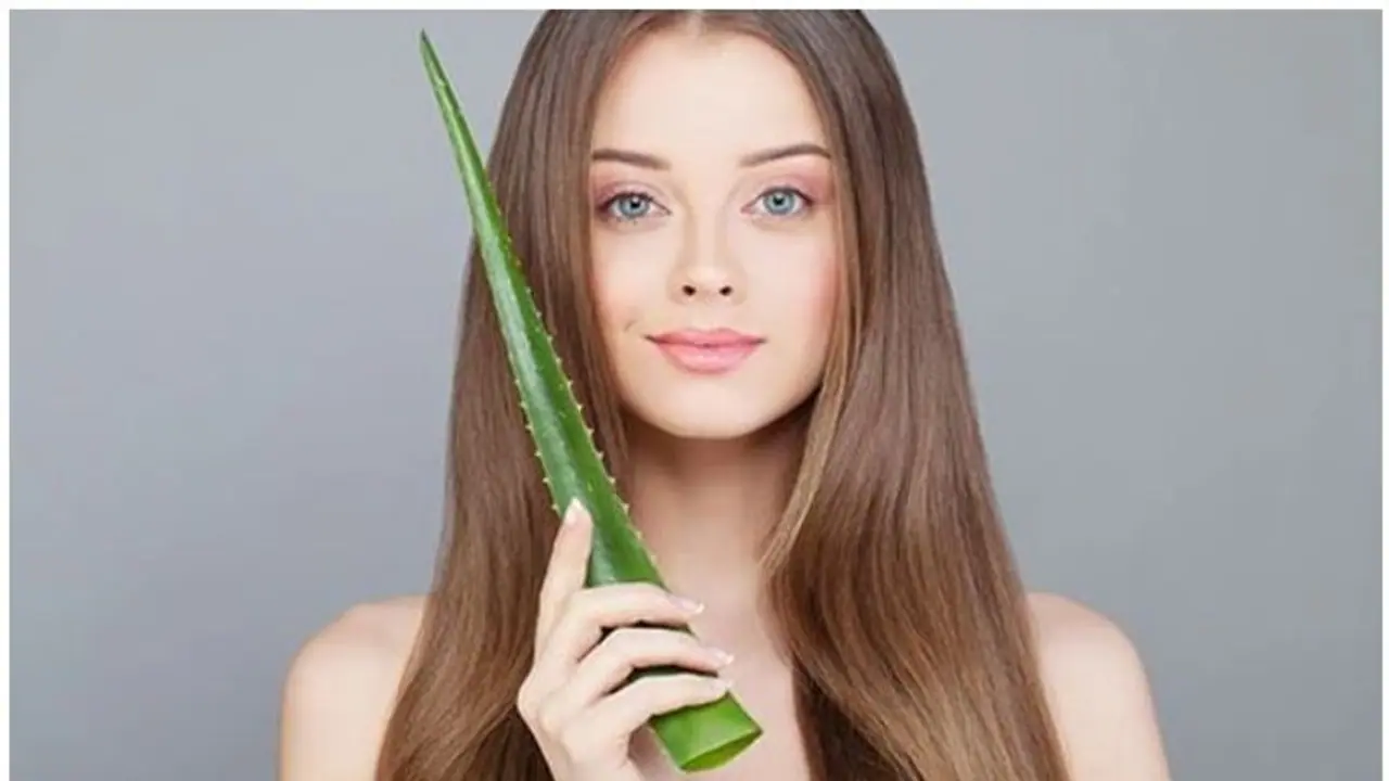 കരുത്തുറ്റ മുടിയ്ക്ക് കറ്റാർവാഴ; ഉപയോ​ഗിക്കേണ്ട വിധം...