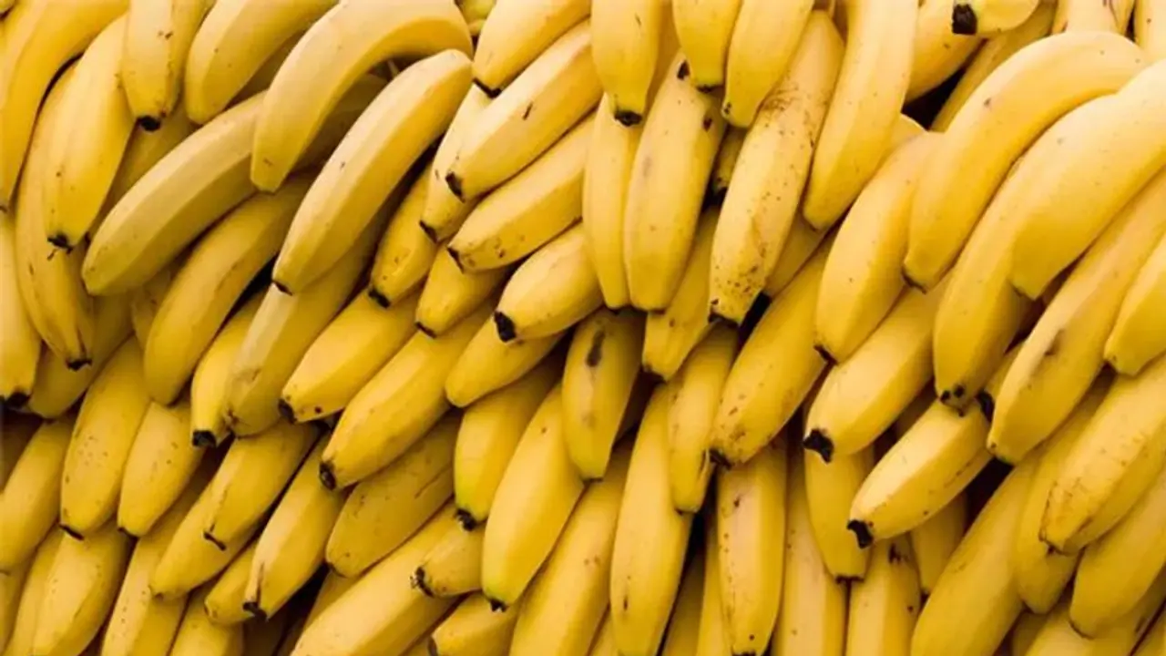 നേന്ത്രപ്പഴം നന്നായി പഴുത്തതാണോ കുറച്ച് പഴുത്തതാണോ ഇഷ്ടം? അറിയാം ഇവയുടെ ഗുണങ്ങള്‍...