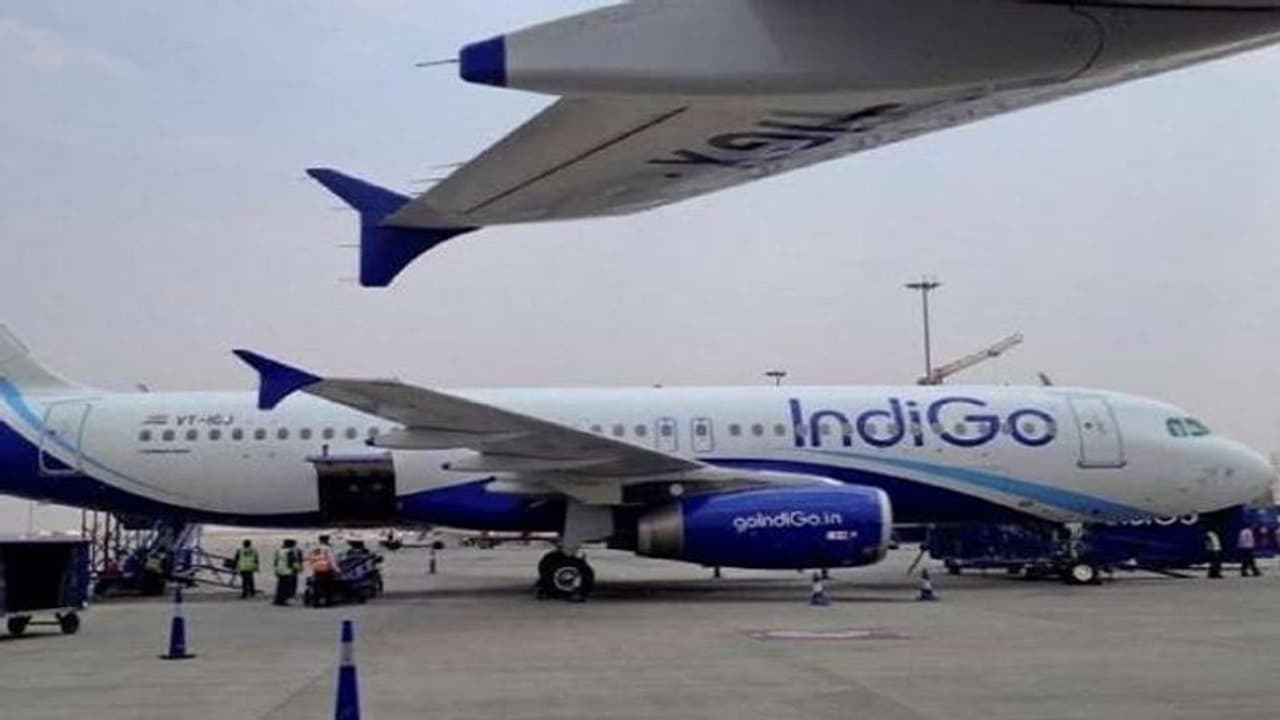 IndiGo Loader: লাগেজ তুলে ক্লান্ত, বিমানে ঘুমিয়ে আবুধাবি পৌঁছে গেলেন বিমানকর্মী