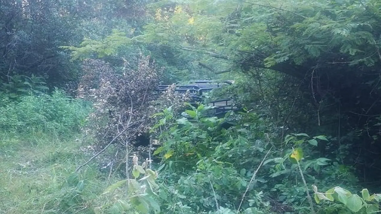 इस जंगल में मिला देश का सबसे बड़ा हीरा भंडार, 3.42 करोड़ कैरेट हीरा होने का अनुमान